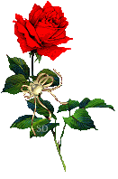 Q1